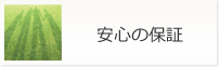 �ۏ�