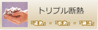 �g���v���f�M